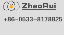 Hubei Star Glass Corporation Limited